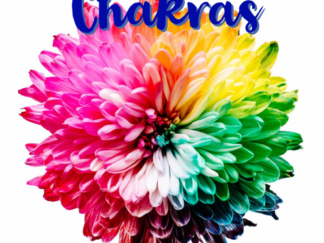 Chakra Assessment