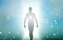 Single question Yoga or Ayurveda
