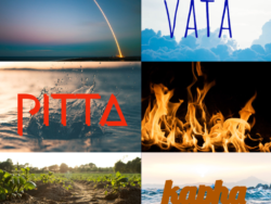 Ayurveda Health Assessment