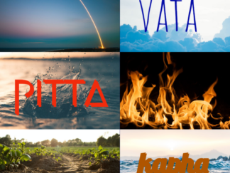 Ayurveda Health Assessment