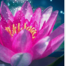 Balancing and Healing the Chakras through Yoga