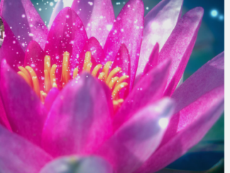 Breathwork (Pranayama)